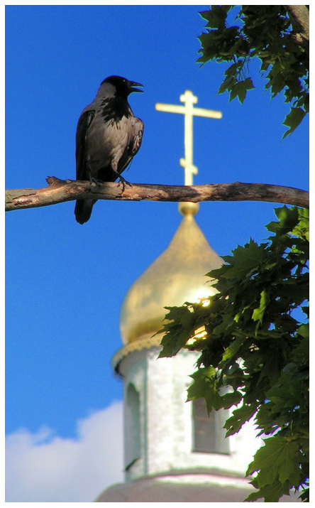 фото "+" метки: абстракция, 