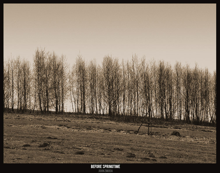 фото "Before springtime" метки: пейзаж, весна