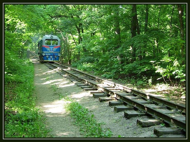 photo "Old railroad" tags: landscape, technics, forest