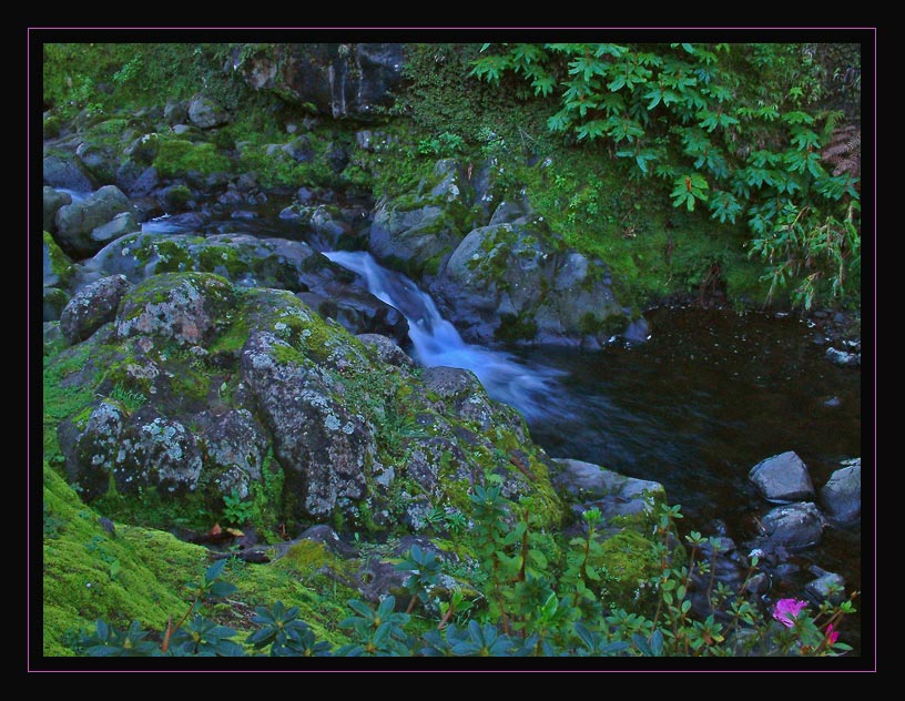 фото "Refreshing sight" метки: пейзаж, весна