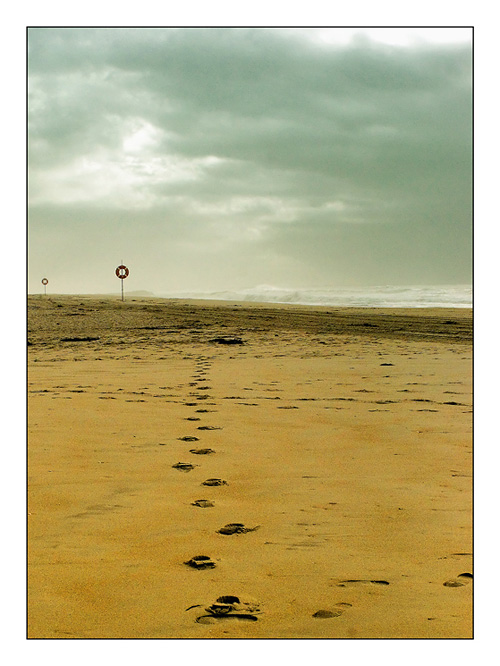 photo "Footsteps in the Sand" tags: landscape, winter