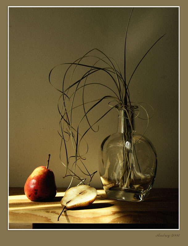 photo "##" tags: still life, 