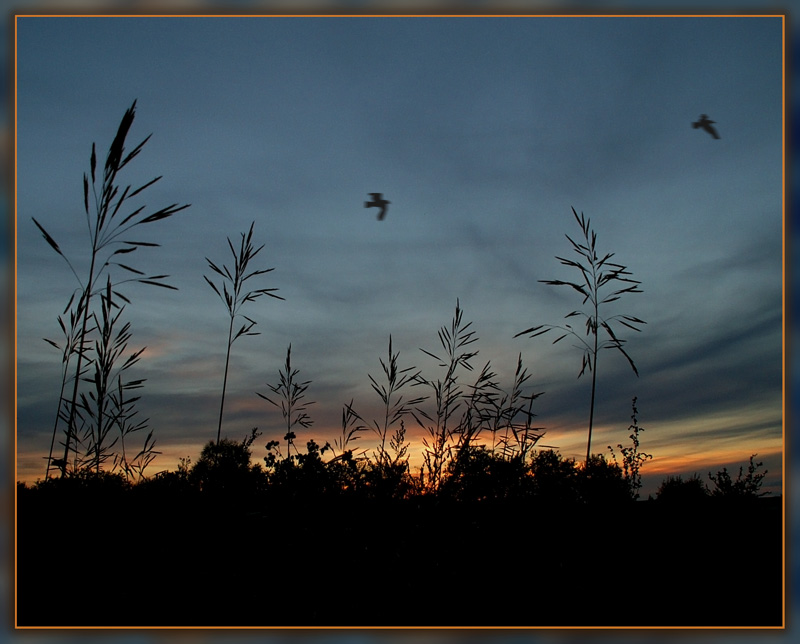 photo "***" tags: landscape, sunset