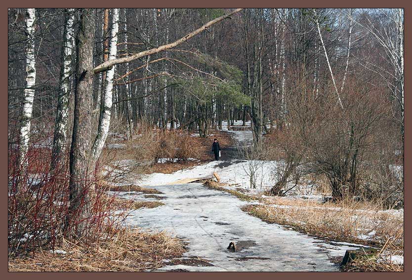 photo "In feature of Moscow" tags: landscape, nature, forest