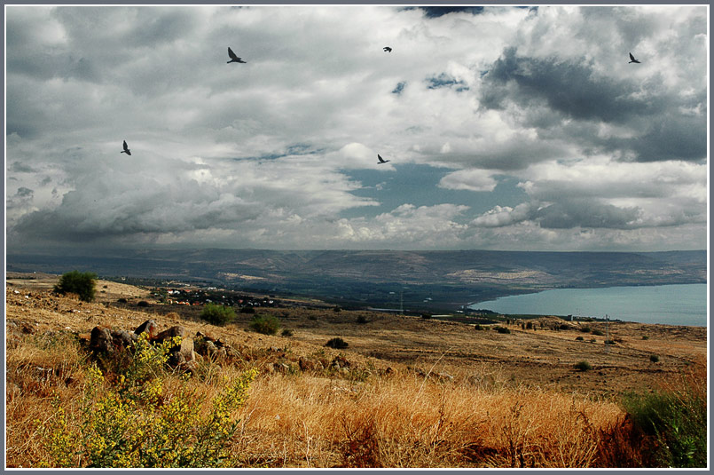 photo "Open space" tags: landscape, clouds