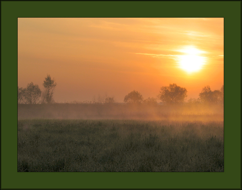 photo "Morning foggy..." tags: landscape, summer, sunset