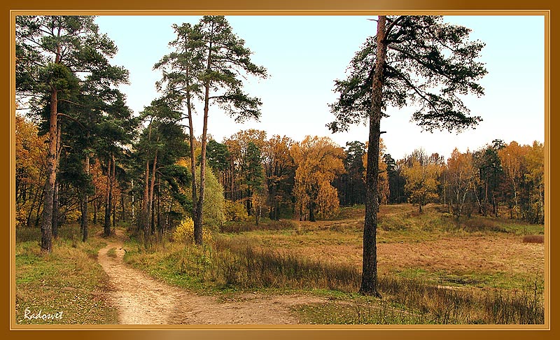 фото "Золото Осени..." метки: пейзаж, осень