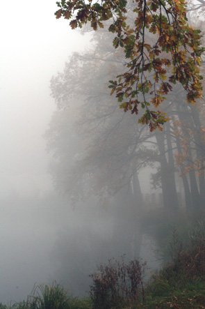 фото "В тумане" метки: пейзаж, вода