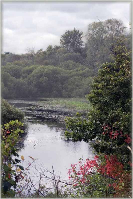 фото "Pond" метки: пейзаж, вода, лето