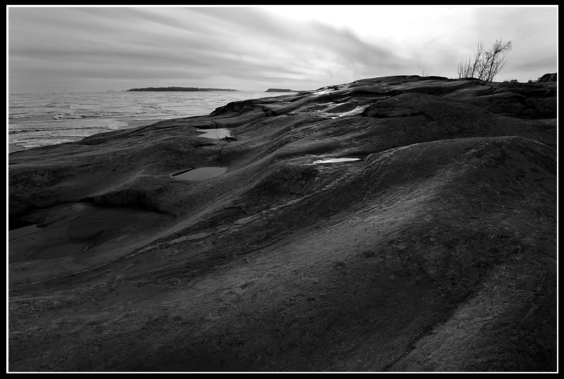 photo "Skin" tags: landscape, black&white, spring