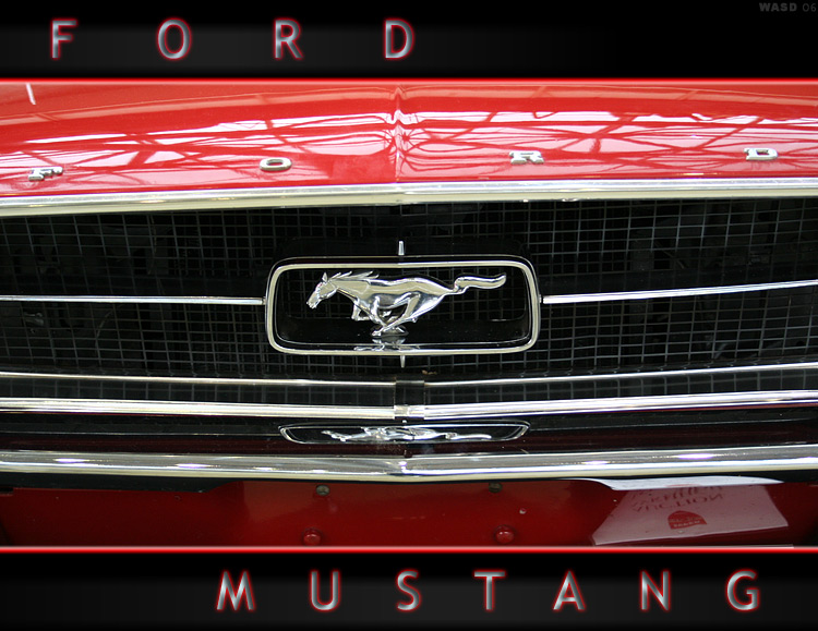 photo "For Mustang" tags: technics, 