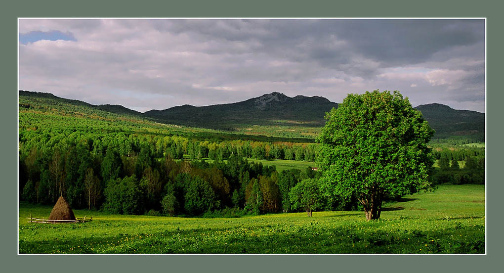 фото "Июнь" метки: пейзаж, 