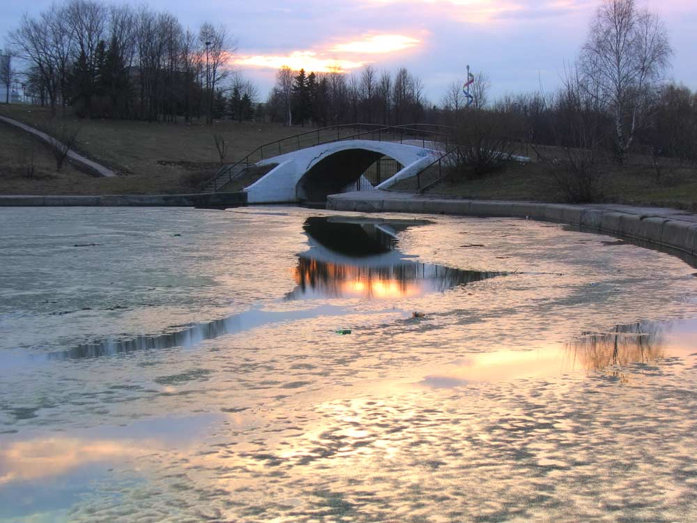 photo "Gold ice" tags: landscape, winter