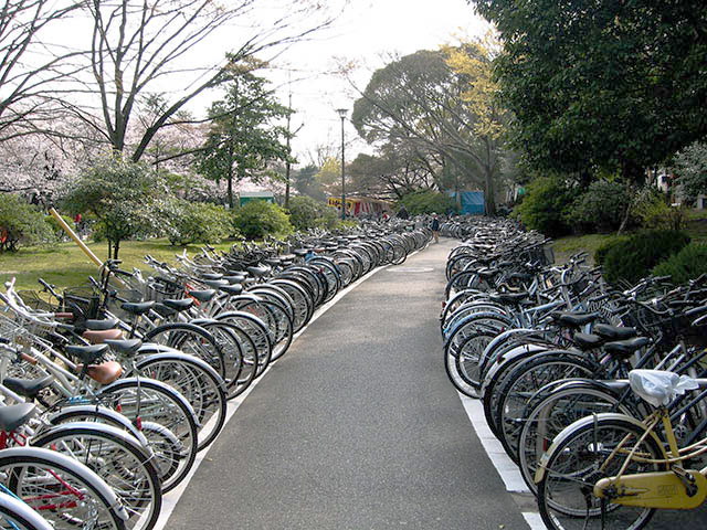 photo "Country of bicycles" tags: landscape, spring