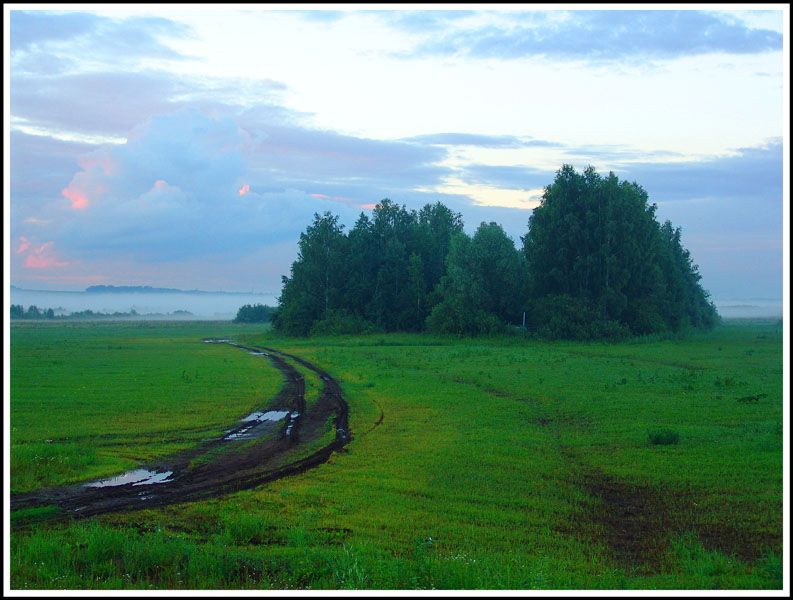 photo "***" tags: landscape, forest