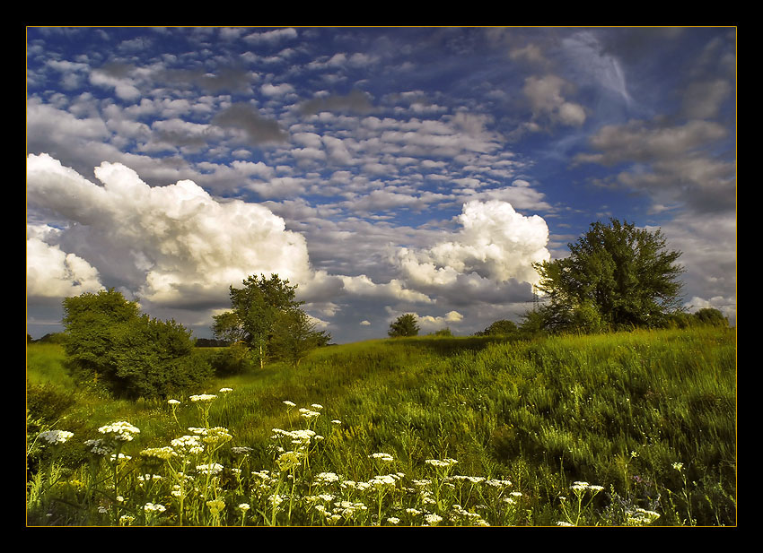 photo "Mixed sky" tags: landscape, summer