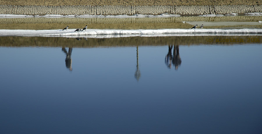 фото "Отражения" метки: пейзаж, вода