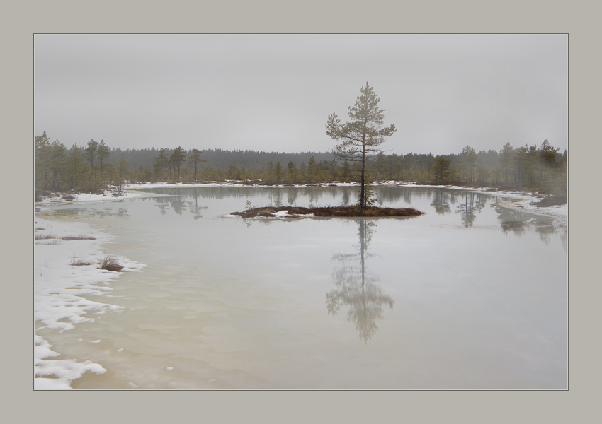 фото "Болотное уединение" метки: пейзаж, весна, вода