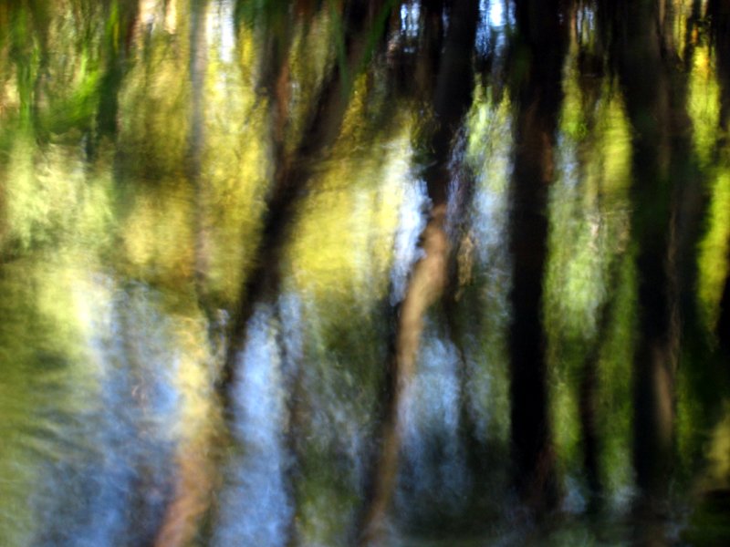 фото "Reflections by the creek" метки: пейзаж, вода, лето