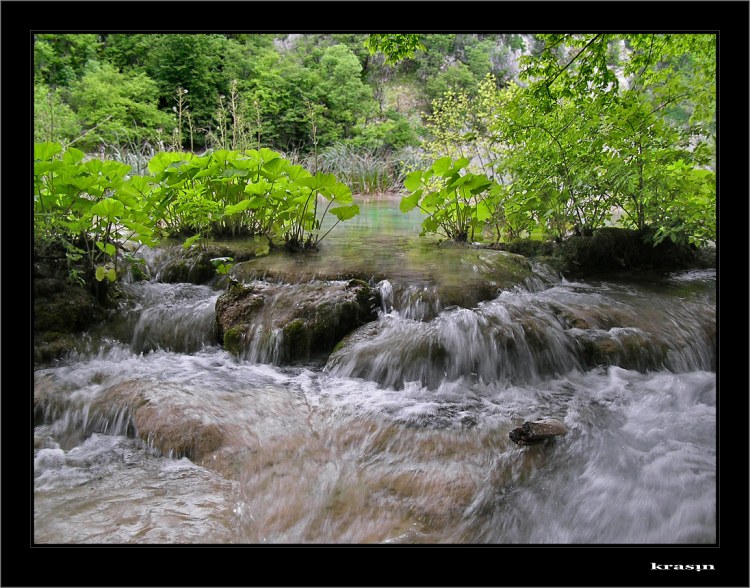 photo "***" tags: landscape, summer, water