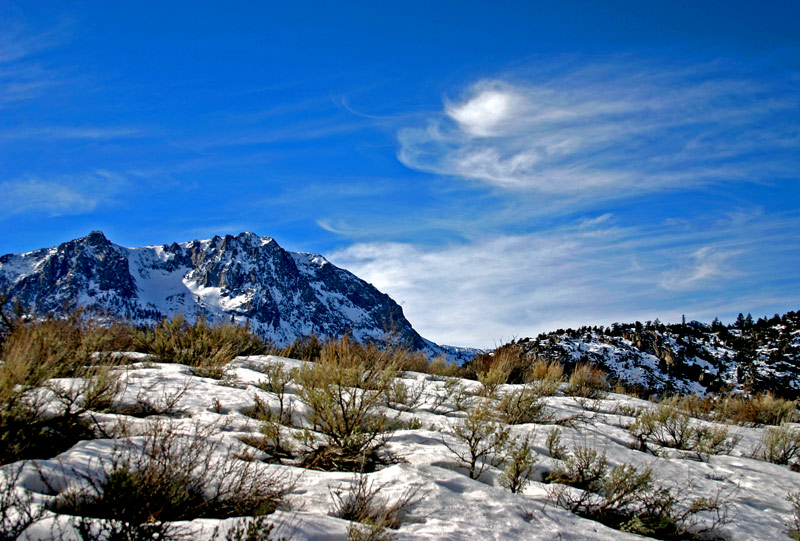 photo "Whistling of The Wind" tags: landscape, 