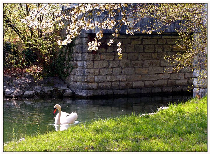 photo "***" tags: landscape, spring, water