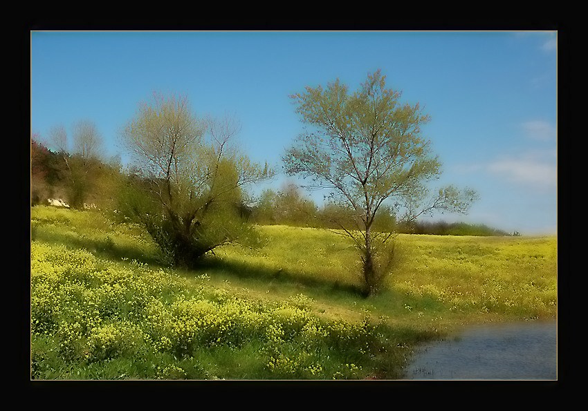 photo "Tableau du Printemps" tags: landscape, spring