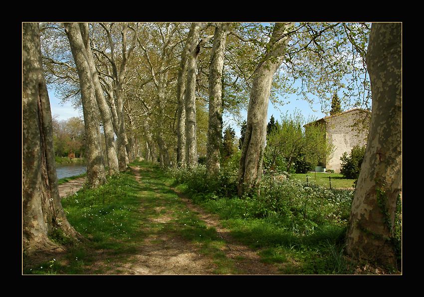 photo "Canal du Midi" tags: landscape, spring