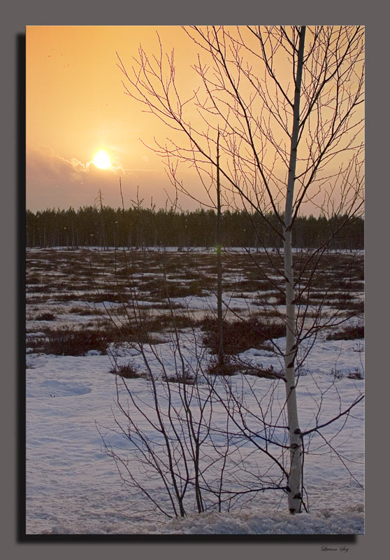 photo "***" tags: landscape, spring, sunset