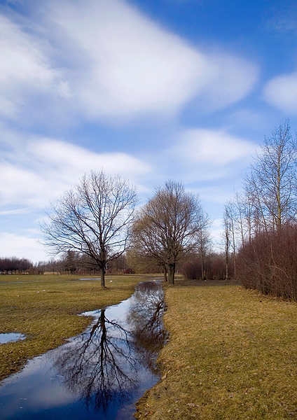 photo "***" tags: landscape, spring