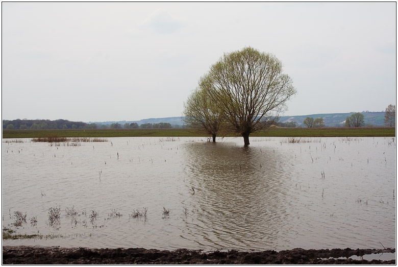 photo "***" tags: landscape, spring