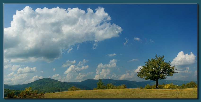 photo "2000m high study" tags: landscape, autumn