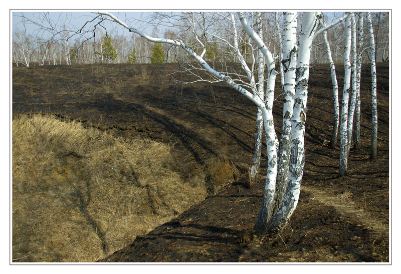 фото "овраг" метки: пейзаж, весна