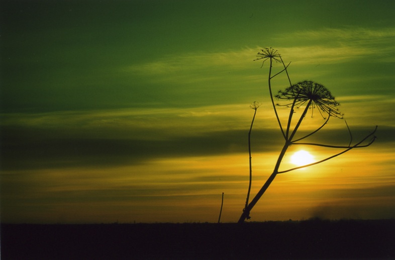 photo "***" tags: landscape, spring