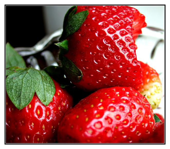 photo "Mmm...Tasty..." tags: macro and close-up, 