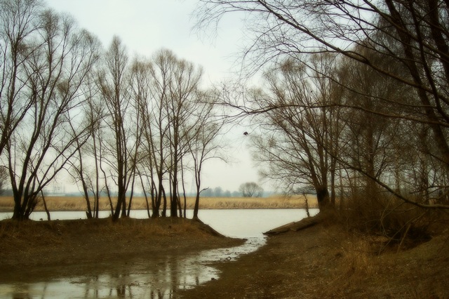 фото "Неприветливая весна" метки: пейзаж, весна, вода