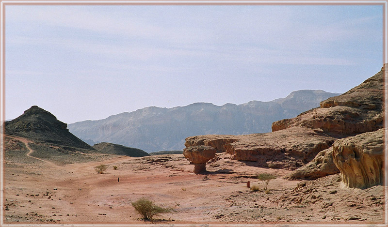 photo "Landscape with a stone mushroom." tags: landscape, 