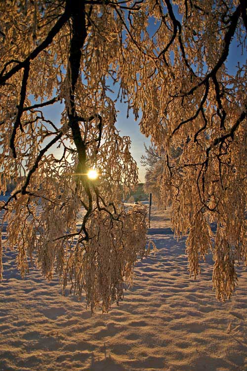 фото "***" метки: пейзаж, зима