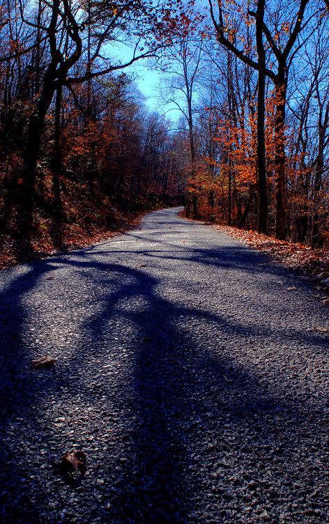 photo "Road to the Top" tags: landscape, nature, 