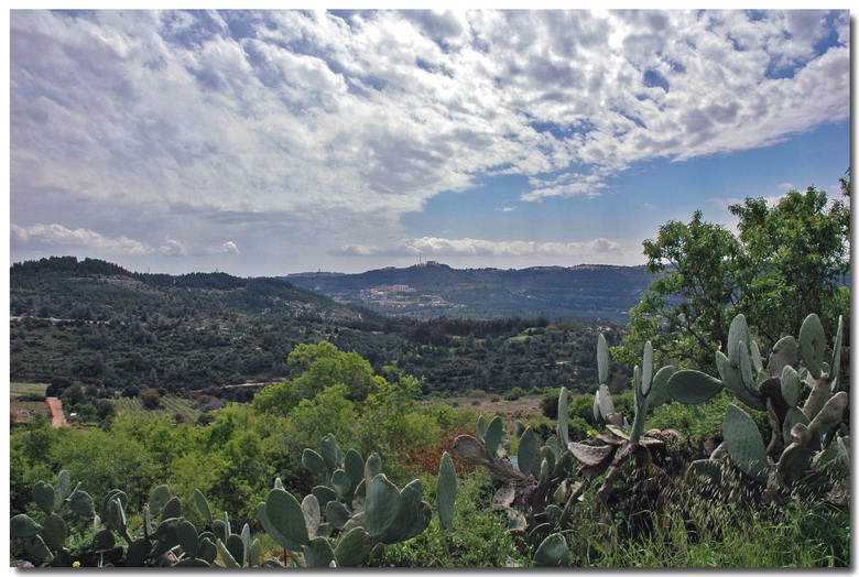 photo "The  Dale" tags: landscape, nature, sunset