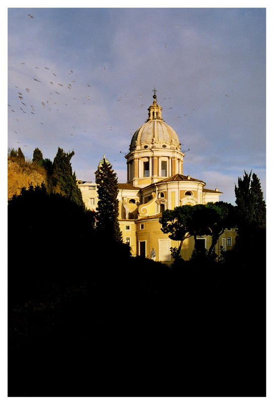 photo "Pini presso il Mausoleo di Augusto" tags: architecture, travel, landscape, Europe