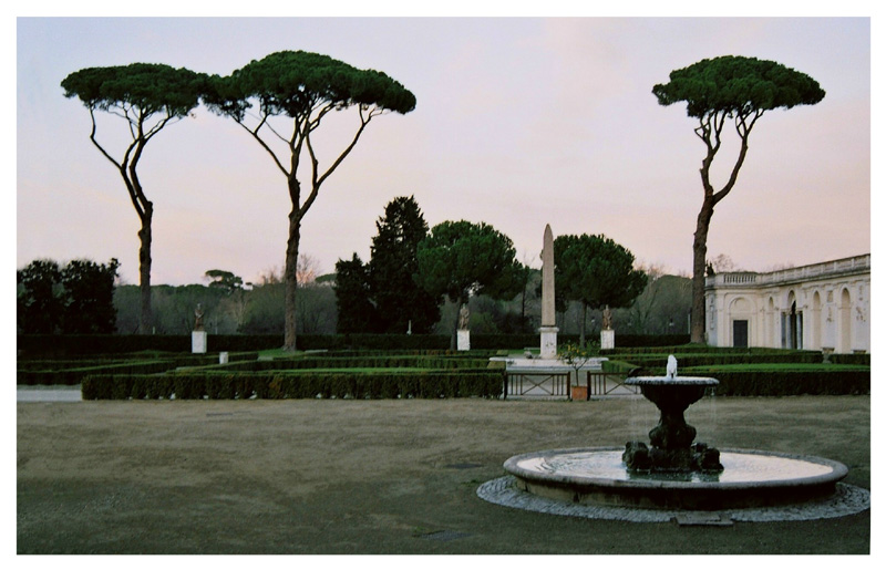 фото "I pini di Villa Medici al tramonto" метки: пейзаж, путешествия, Европа