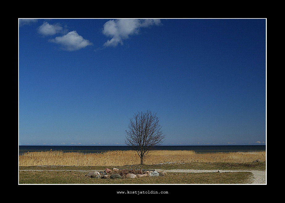 photo "Berzupe" tags: landscape, 