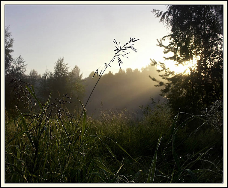 photo "Light and shadow" tags: landscape, summer