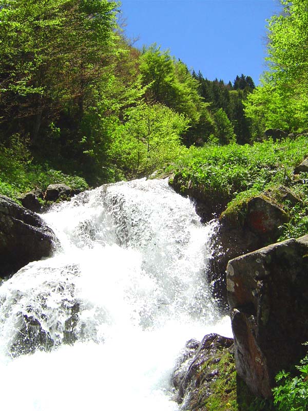 фото "***" метки: пейзаж, весна, вода