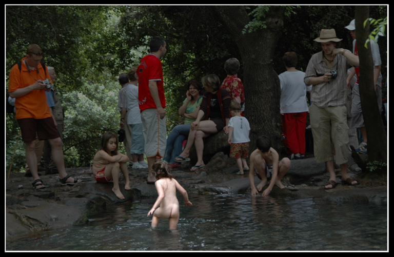 фото "***" метки: жанр, 