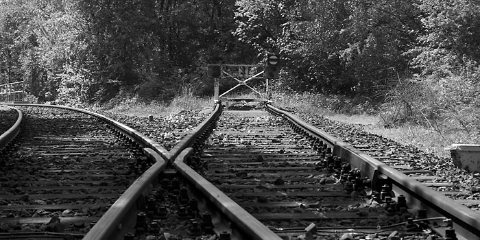 photo "End of the Road" tags: still life, black&white, 