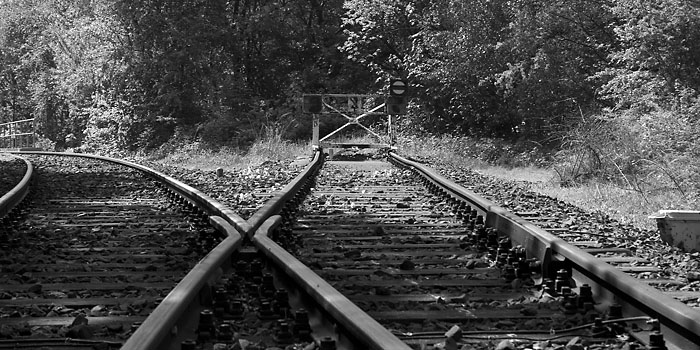 photo "End of the Road" tags: still life, black&white, 