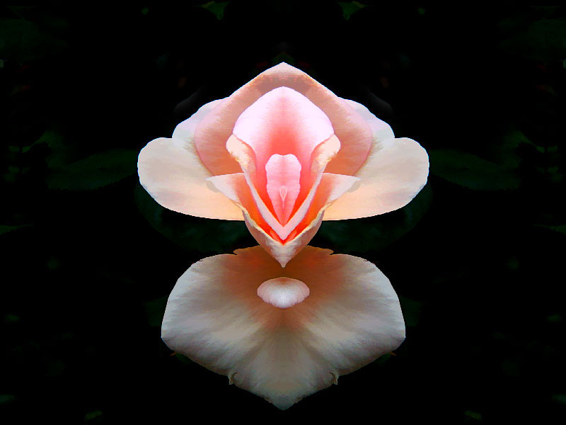 photo "Point of Transformation" tags: abstract, 