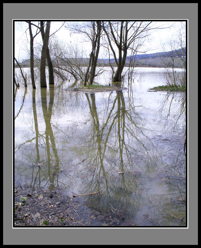 фото "Большая вода." метки: пейзаж, вода